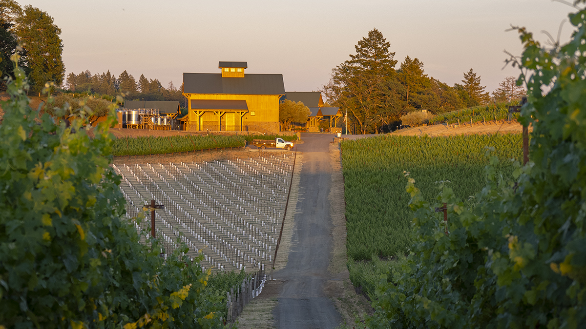 Catagory Winery & Vineyards. 6.1.21_Warehouse Sunset_01