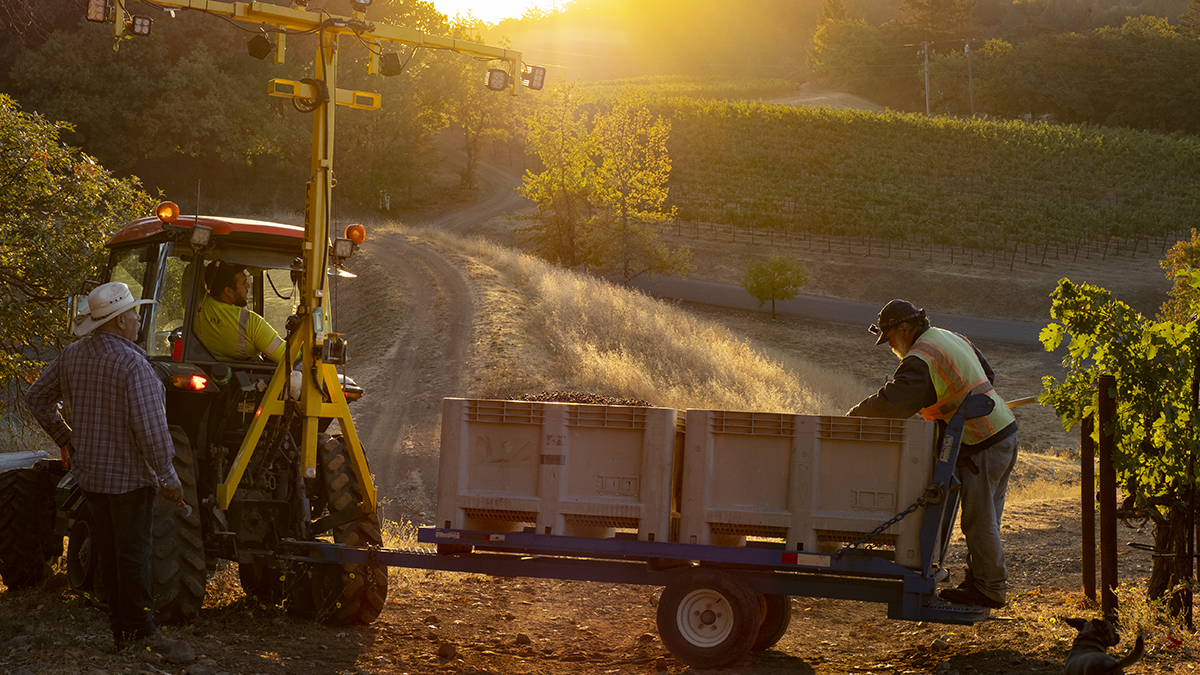 Catagory Fall 2021. 9.17.21_David Harvest Tractor_01