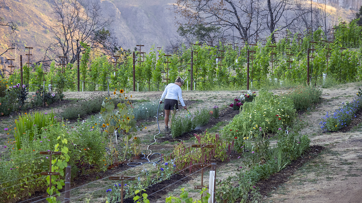 Catagory Fall 2021. 8.31.21_Eliza Cutting Garden_01
