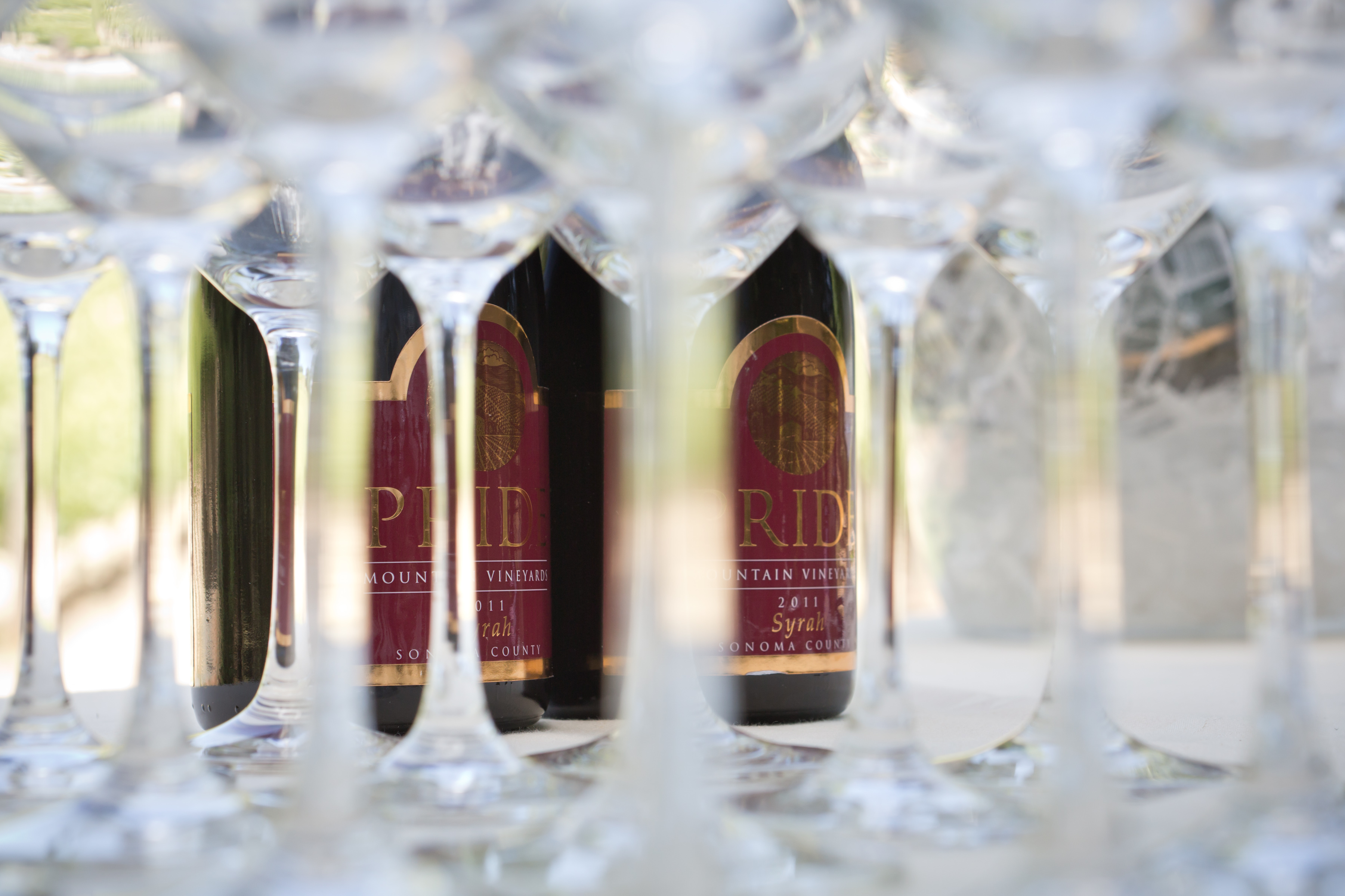 Nantucket Wine Festival