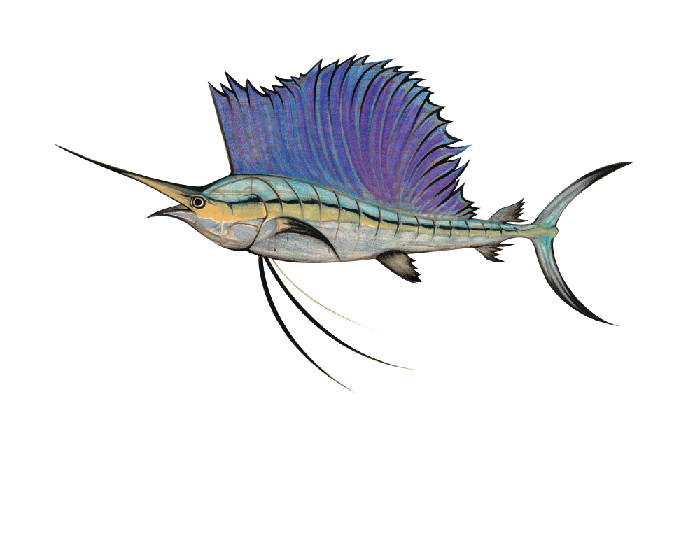 Emeril Lagasse Foundation's Carnivale du Vin