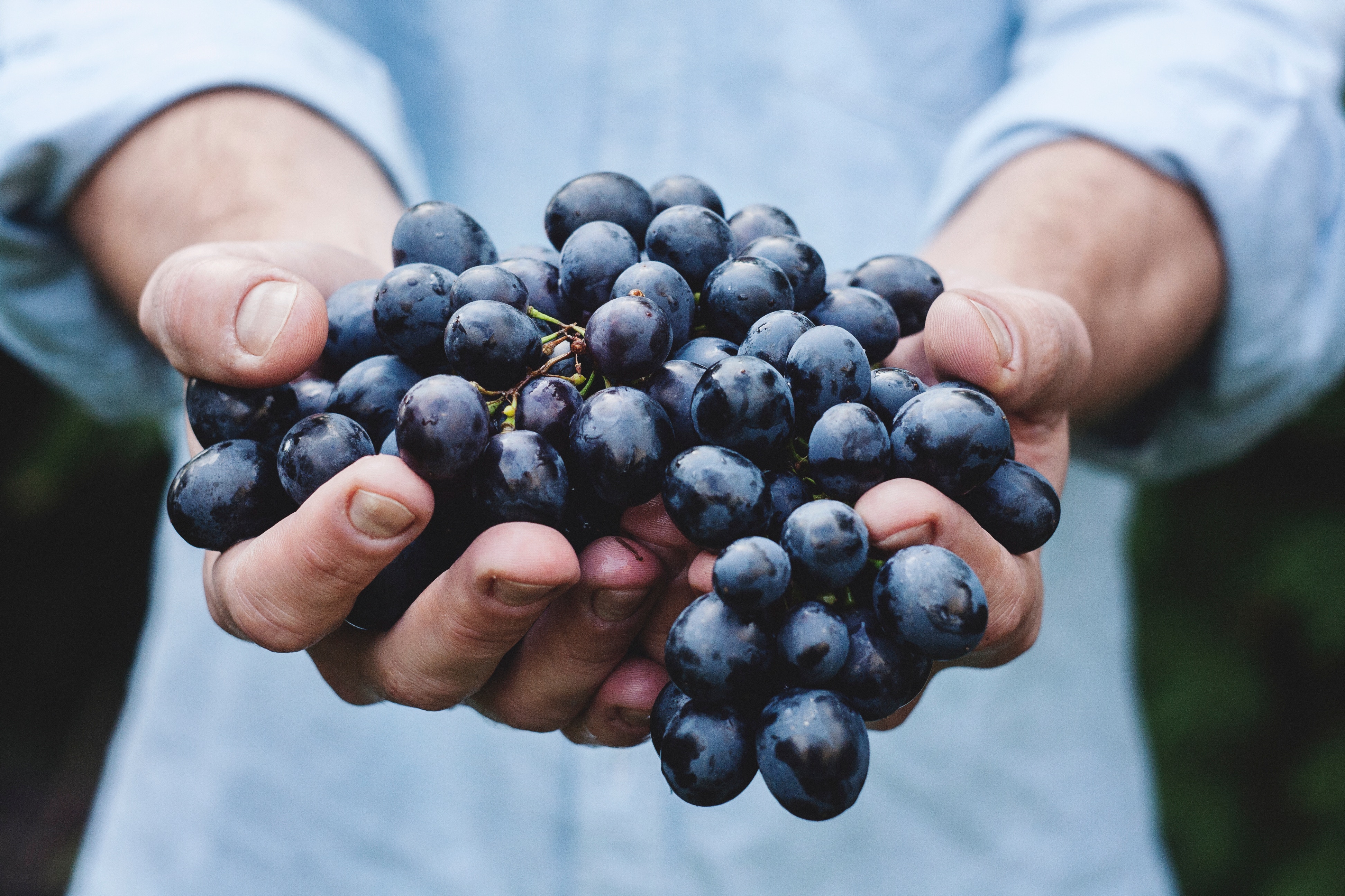 33rd Annual Lake Tahoe Autumn Food & Wine Festival