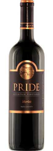 Bottle of Merlot